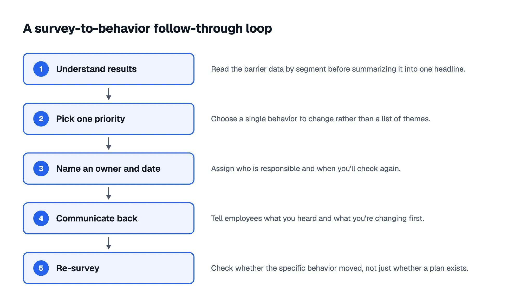 A survey-to-behavior follow-through loop: 1. Understand results; 2. Pick one priority; 3. Name an owner and date; 4. Communicate back; 5. Re-survey